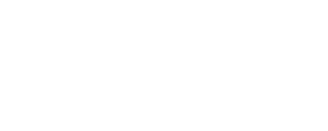 مملكة الليل