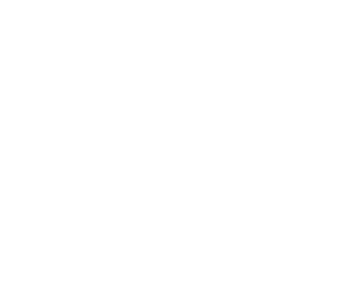 مفاجأة جون سينا