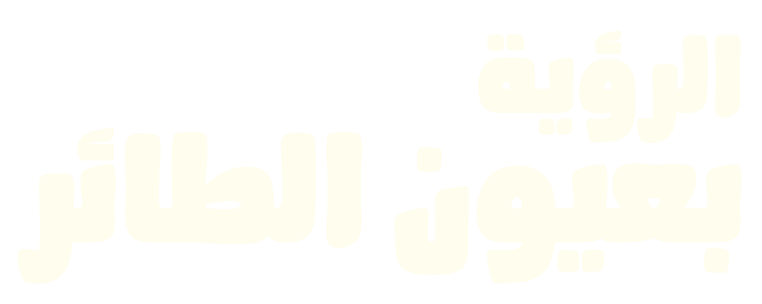 تحليق بلا أجنحة